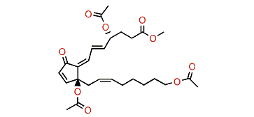 20-Acetoxyclavulone III